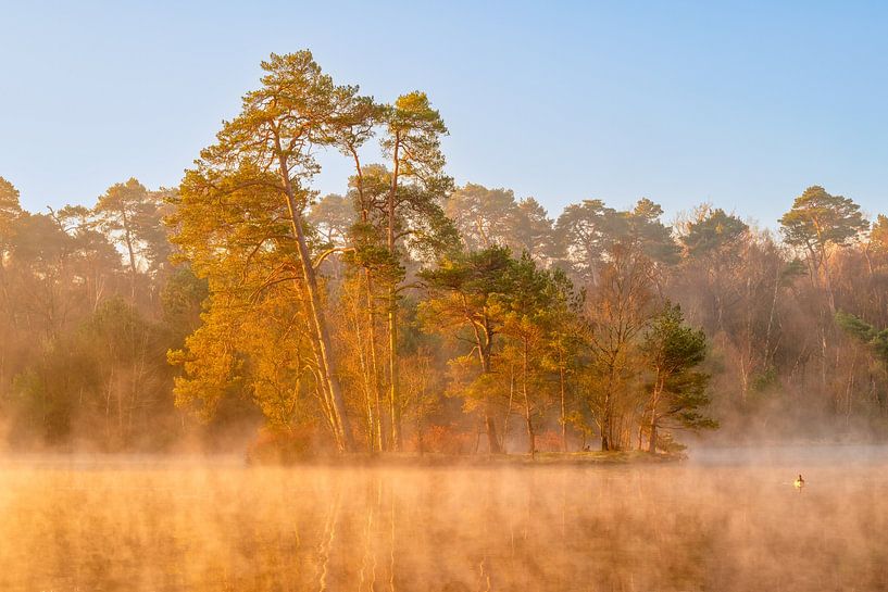 Foggy morning by Edgar Seedorf