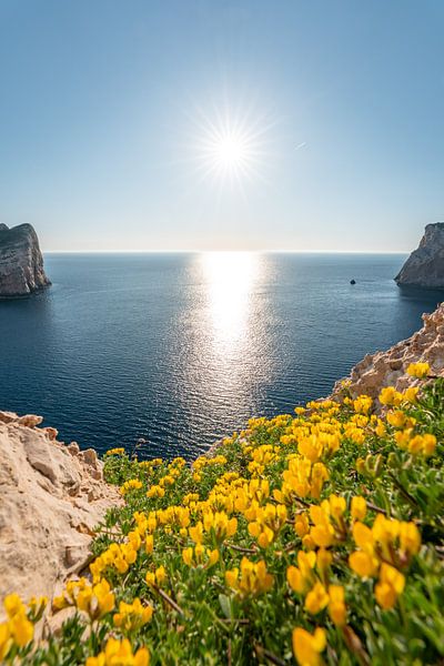 Sonnenstrahlen an den Klippen Sardiniens am Parco Naturale Di Porto Conte von Leo Schindzielorz