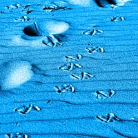 Turquoise blue tracks on the dune on the Baltic Sea beach