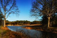 Natuurijsbaan Vlieland in de avondzon
