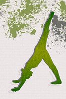 Yoga, posture du chien vers le bas