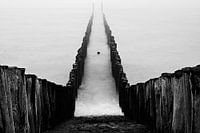 Breskens dans le brouillard