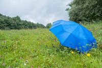 S'abriter de la pluie sous un parapluie bleu