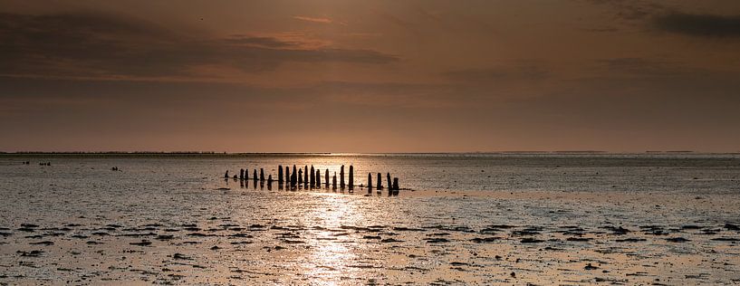 Soleil couchant sur les vasières par Alex Dallinga