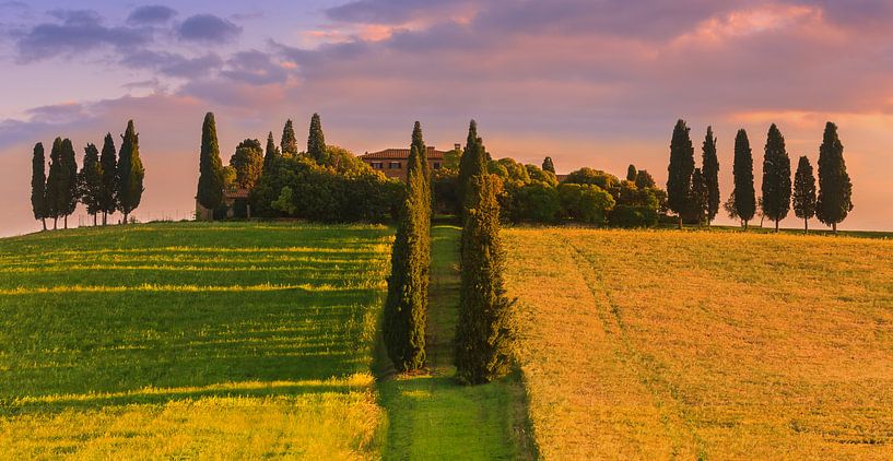 Maria Eva Genna Barbarini's estate at Poggio Manzuoli. von Henk Meijer Photography
