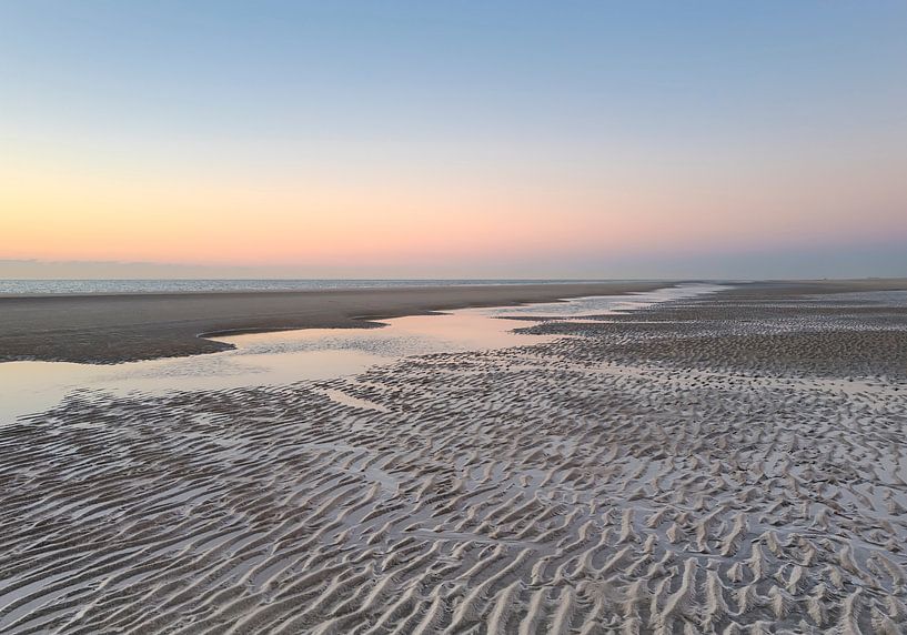 Water to the Ocean by Wad of Wonders