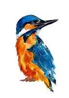 Petit martin-pêcheur