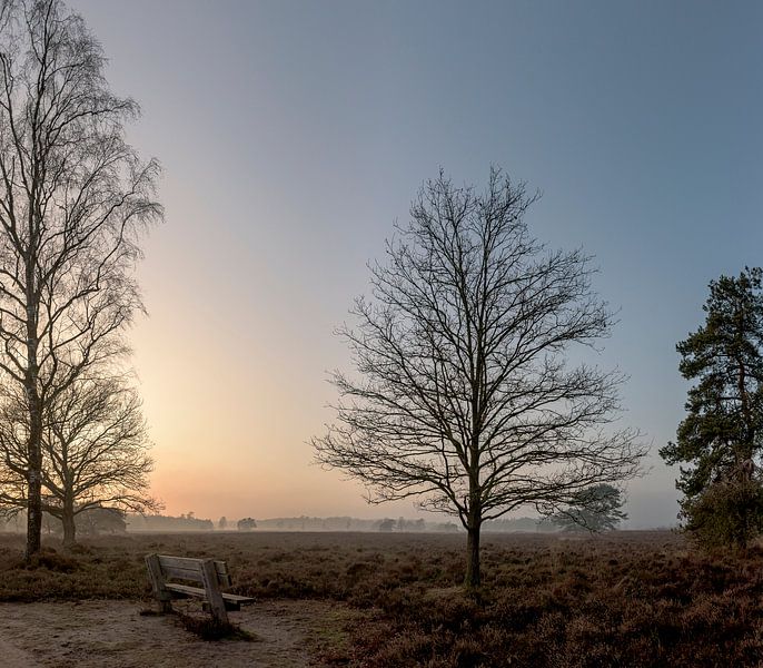Winter bench at sunset by Ruud Overes