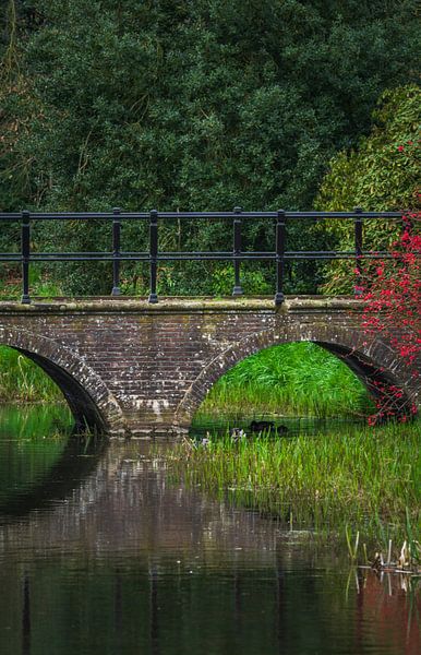 Old bridge over a canal by Michel Knikker