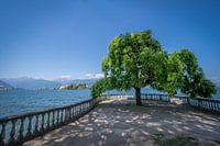 Lago Maggiore