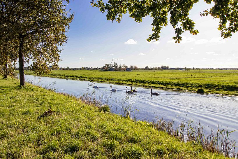 Holländische Auenlandschaft von Déwy de Wit