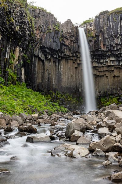 Wasserfall Svartifoss von Tine Depré
