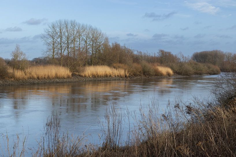 Blick auf die Schelde, bei Dendermonde, Belgien von Imladris Images