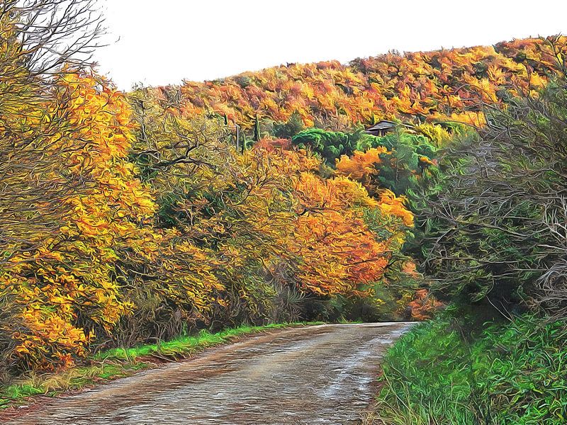 Auf der Straße im Dezember Umbrien von Dorothy Berry-Lound