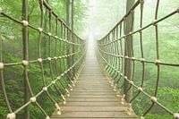 Hängebrücke im Nebelwald