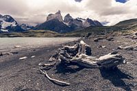 Hiking trail in Torres del Paine National Park with views of the Torres Paine massif