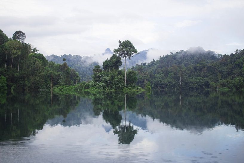 Dschungel in Thailand - Khao Sok-Nationalpark von Anne Zwagers