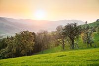 Mostviertel au printemps au coucher du soleil