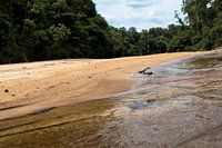 Sipaliwini River at the Sir Walter Raleigh Falls Suriname