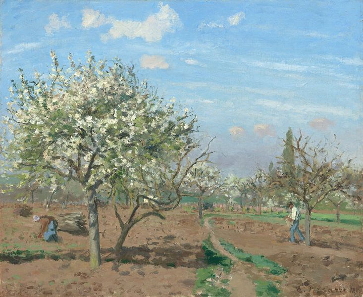 Bloeiende boomgaard, Louveciennes, Camille Pissarro van Meesterlijcke Meesters