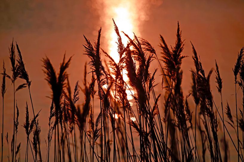 Ostseeufer von Thomas Jäger