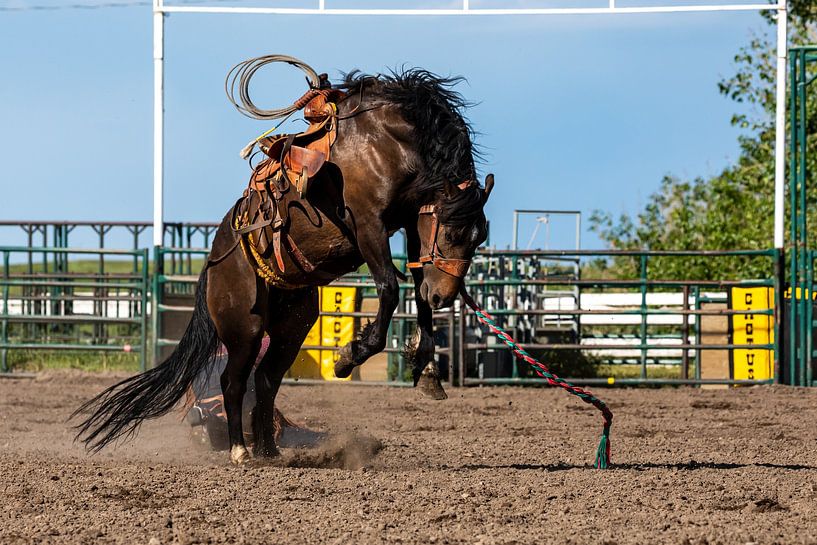 Rodeo im Wilden Westen von Roland Brack