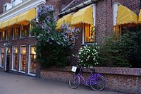 Zonneschermen op het Gedempte Zuiderdiep