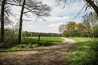 Weggetje in de Achterhoek