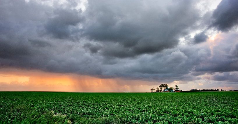 Morningsun by Bo Scheeringa Photography