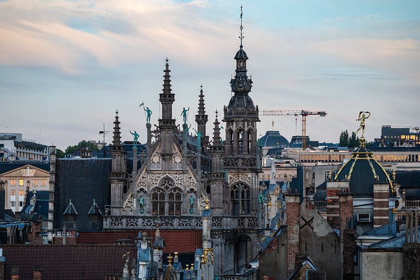 City view over Brussels old town by Werner Lerooy