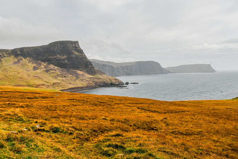 Scotland by Bianca  Hinnen