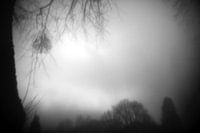 Arboretum De Dreijen