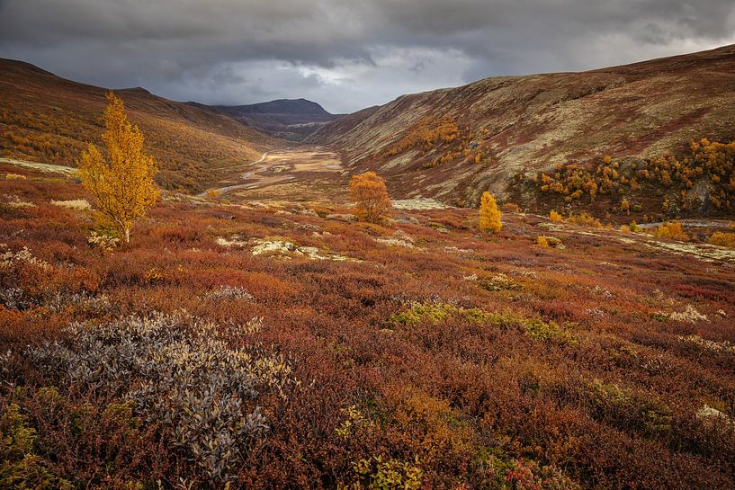 Automne en Norvège par Andy Luberti
