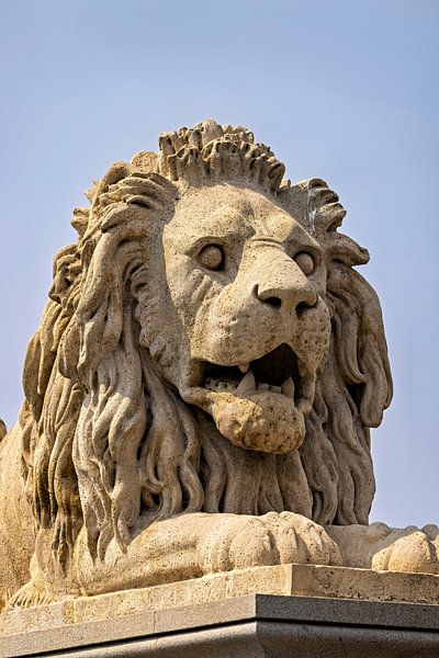 Die Löwen der Kettenbrück von Budapest von Roland Brack