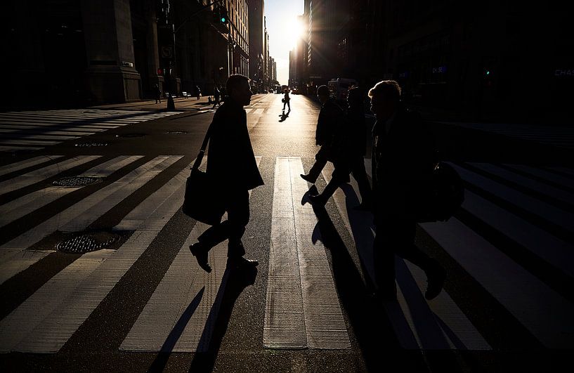 Bewegte Formen von Graham Forrester