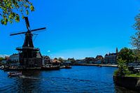 Niederländisches Bild