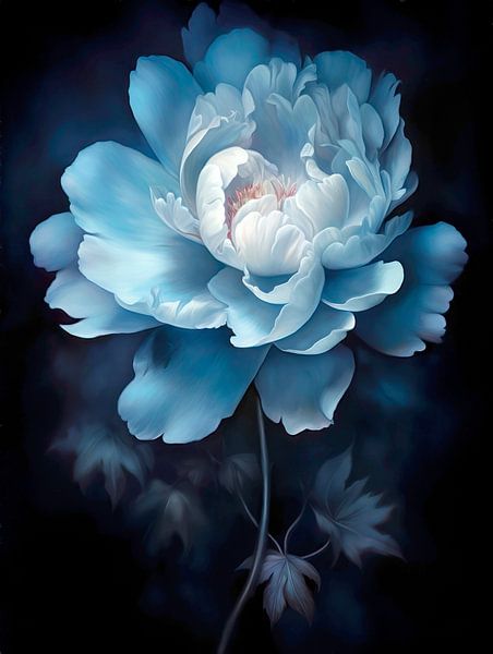 Peony in the dark by Jutta Maria Pusl