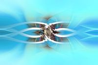 Verbroken Connectie, Broken Connection