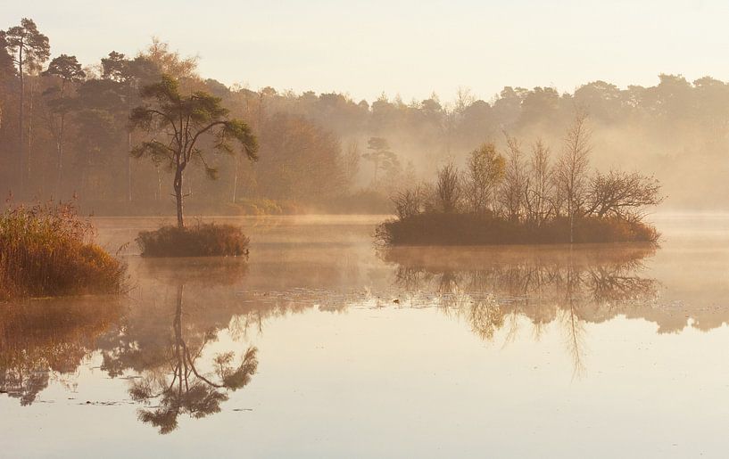 Voorste Goorven Oisterwijk I von Ronne Vinkx