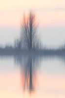 Bewegt durch Reflexion