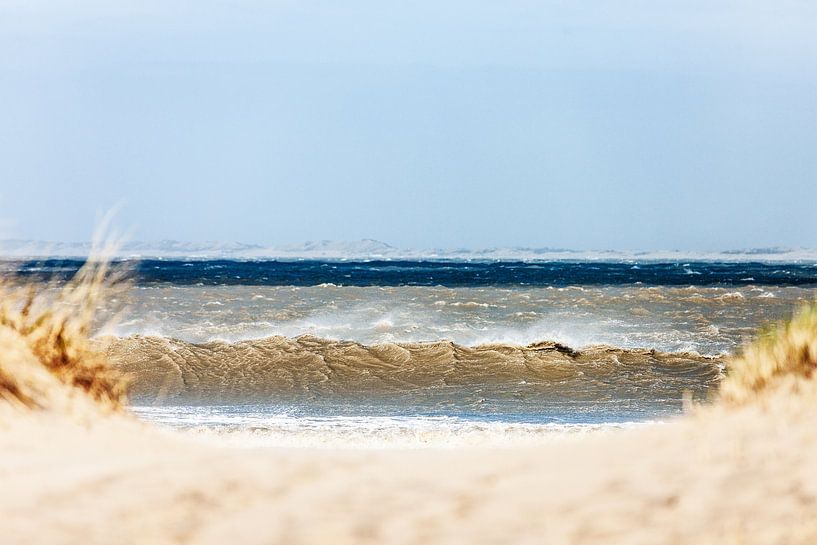 Storm Westerschelde by Willy Lippens