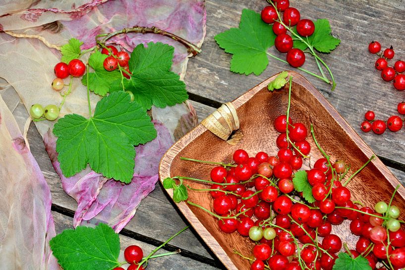 Beeren Stillleben von Claudia Evans