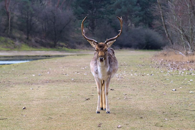 Dunes d'approvisionnement en eau de Damhert Amsterdam par Merijn Loch
