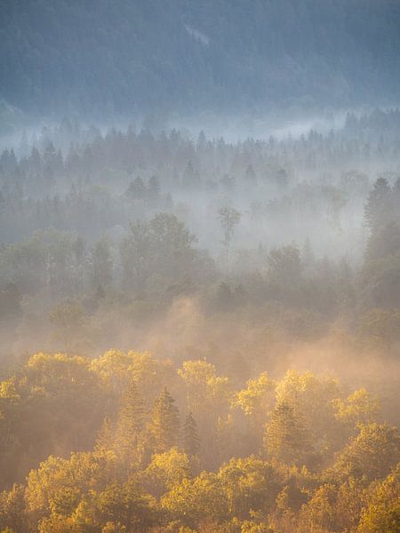 Belle matinée avec brume sur les forêts du Jura français aux couleurs d'automne. par Jos Pannekoek