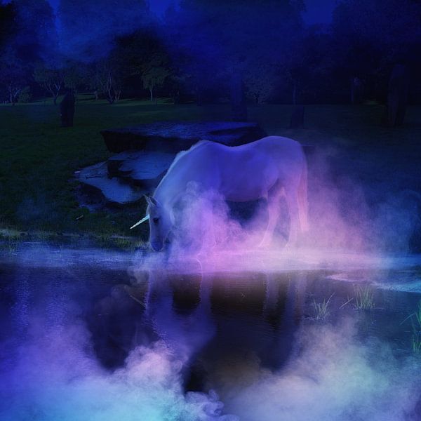 Unicorn on the lake by Lucia