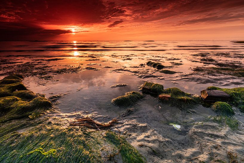 Oosterschelde National Park by Ria Overbeeke