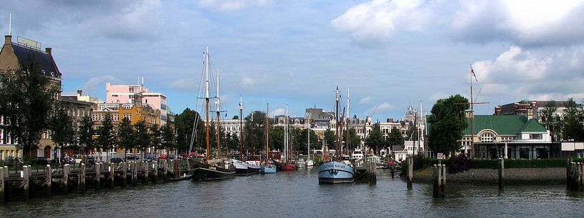 Veerhaven gezien vanaf de Nieuwe Maas par M  van den Hoven