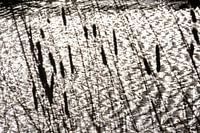 Tanzende Lichter, das Glitzern der Sonne auf den fließenden Wellen, das Wasser in Bewegung