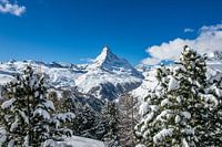 De Matterhorn in Zwitserland op een kraakheldere winterdag