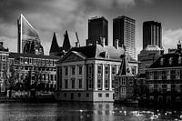 The tweede kamer den haag